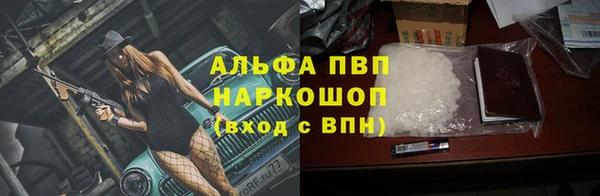 молекула духа Богородицк