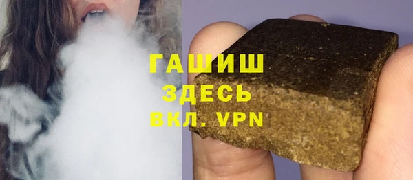 молекула духа Богородицк