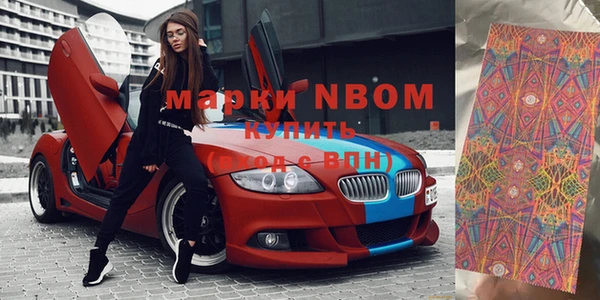 молекула духа Богородицк