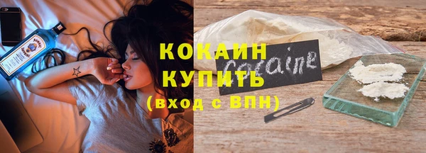 молекула духа Богородицк